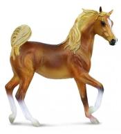 Klacz rasy arabskiej maści Golden Chestnut