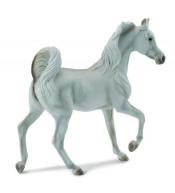 Klacz rasy arabskiej maści szarej