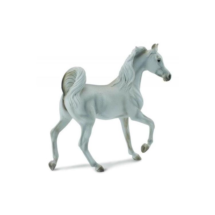 Klacz rasy arabskiej maści szarej