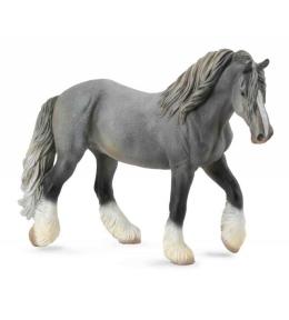 Klacz rasy Shire szara