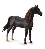 Ogier Morgan Stallion maści kasztanowej