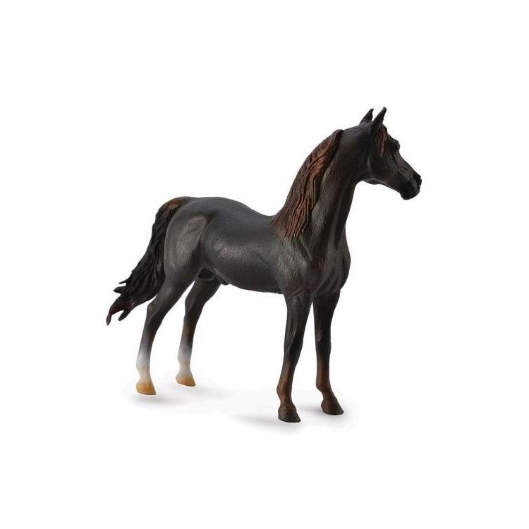 Ogier Morgan Stallion maści kasztanowej