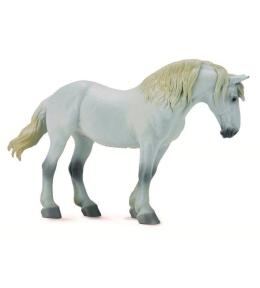 Klacz rasy Percheron Mare Grey