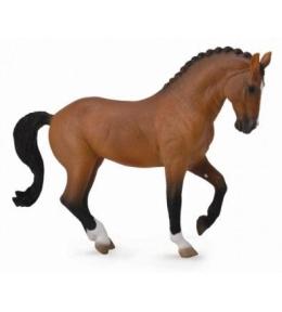 Klacz rasy Hanowerski Gniada