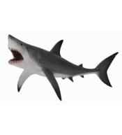 Żarłacz biały z otwartą szczęką