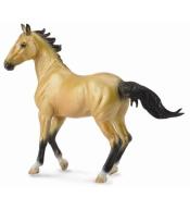 Klacz Akhal Teke Buckskin