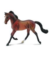 Klacz Thoroughbred maści Bay