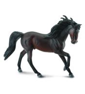 Ogier Andaluzyjski maści Bay