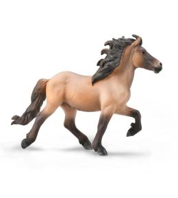 Icelandic Stallion Bay Dun