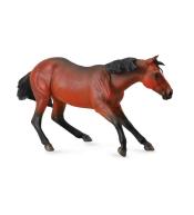 Klacz rasy Quarter maści Bay