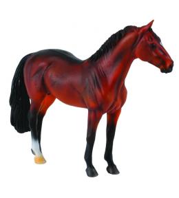 Ogier Hanowerski gniady