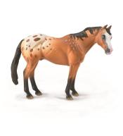 Koń Appaloosa wałach jasnobrązowy