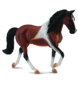 Klacz rasy Stallion Bay Pinto spacerująca