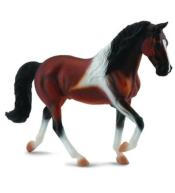 Klacz rasy Stallion Bay Pinto spacerująca