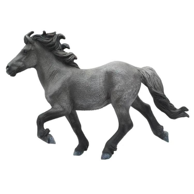 Koń Blue Dun Icelandis Staillion