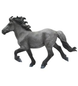 Koń Blue Dun Icelandis Staillion