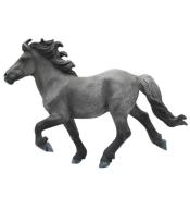 Koń Blue Dun Icelandis Staillion