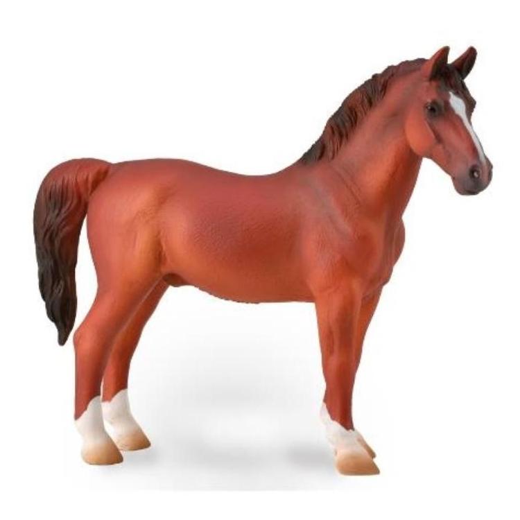 Hackney Stallion Chestnut