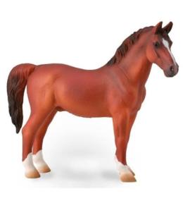 Hackney Stallion Chestnut