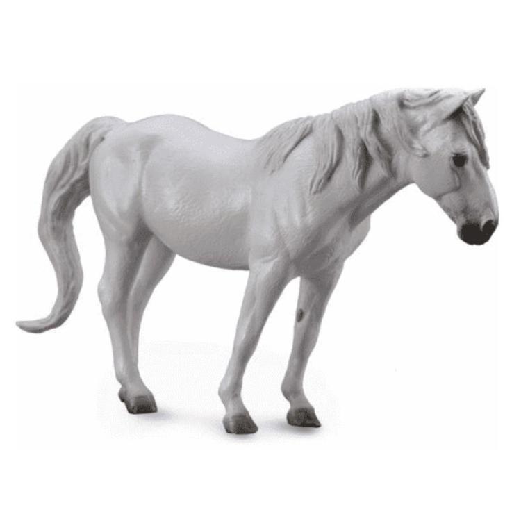 Koń rasy Camergue maści szarej