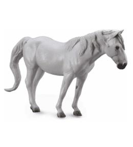 Koń rasy Camergue maści szarej