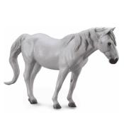 Koń rasy Camergue maści szarej