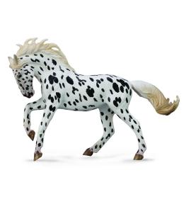 Klacz rasy Knabstrup - kary