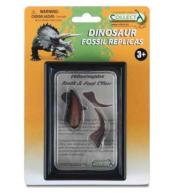 Ząb i pazur kończyny dolnej Velociraptora