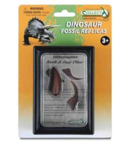 Ząb i pazur kończyny dolnej Velociraptora