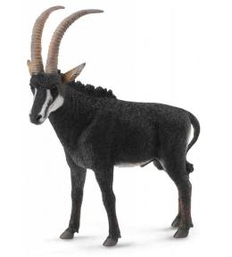 Antylopa olbrzymia - samiec