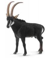 Antylopa olbrzymia - samiec