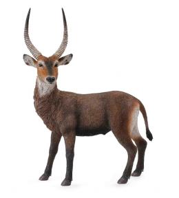 Antylopa Waterbuck