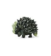 Jeżozwierz indyjski