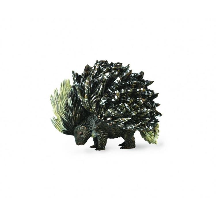 Jeżozwierz indyjski