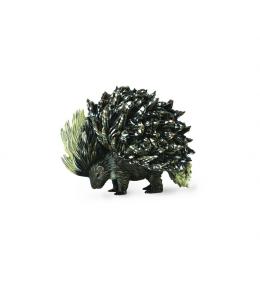 Jeżozwierz indyjski