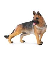 Pies owczarek alzacki