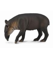 Tapir cielę bairda