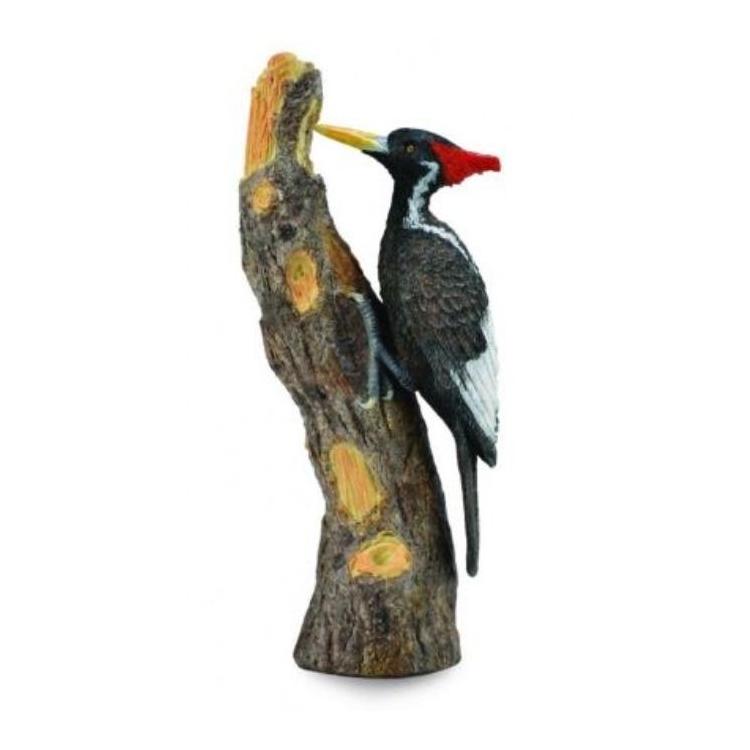 Dzięcioł wielkodzioby