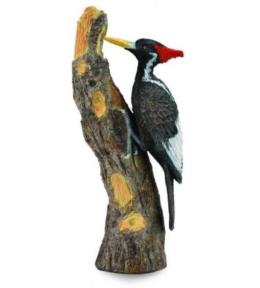 Dzięcioł wielkodzioby