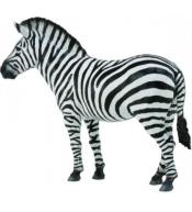 Zebra Common