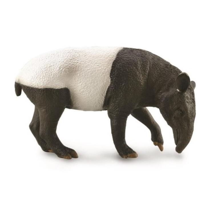 Malayan Tapir