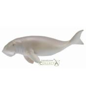 Diugoń przybrzeżny