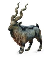 Rogacz Tadjik Markhor