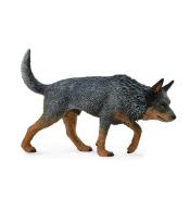 Pies Australian Catele