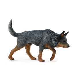 Pies Australian Catele