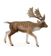 Jeleń daniel samiec