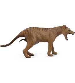 Wilk workowaty (tasmański) samica