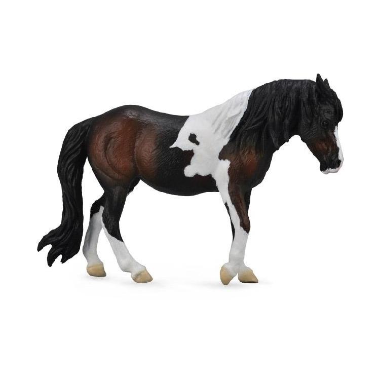 Klacz rasy Dartmoor hill