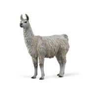 Lama