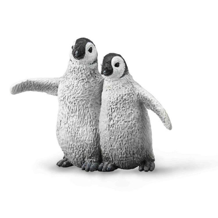 Pingwin Cesarski młode